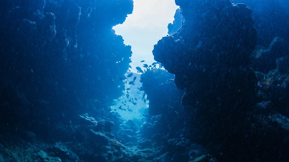 Proč se v Atlantiku otevřela jizva dlouhá 500 kilometrů