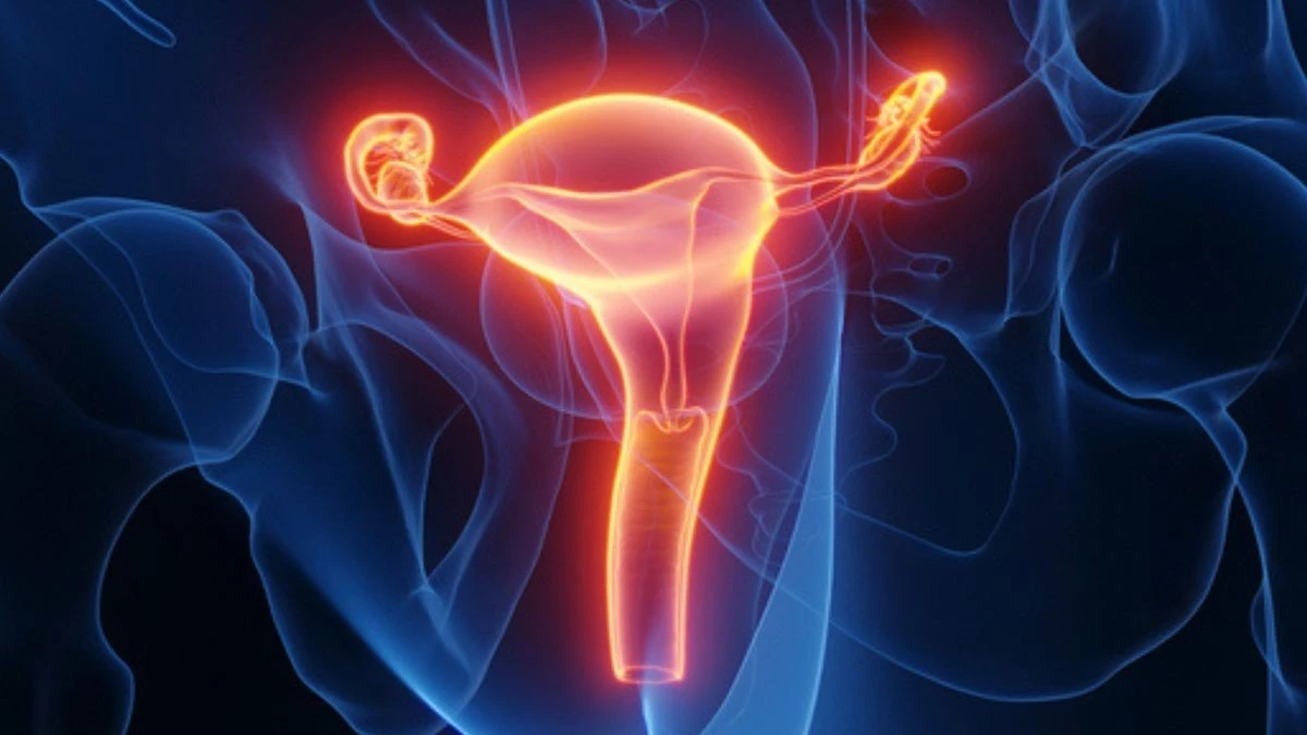 Proč britští lékaři použili dělohu od zemřelé dárkyně k narození zdravého dítěte