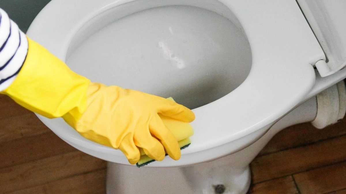 Proč zkušení hostitelé potírají záchodové prkýnko rozkrojeným citronem