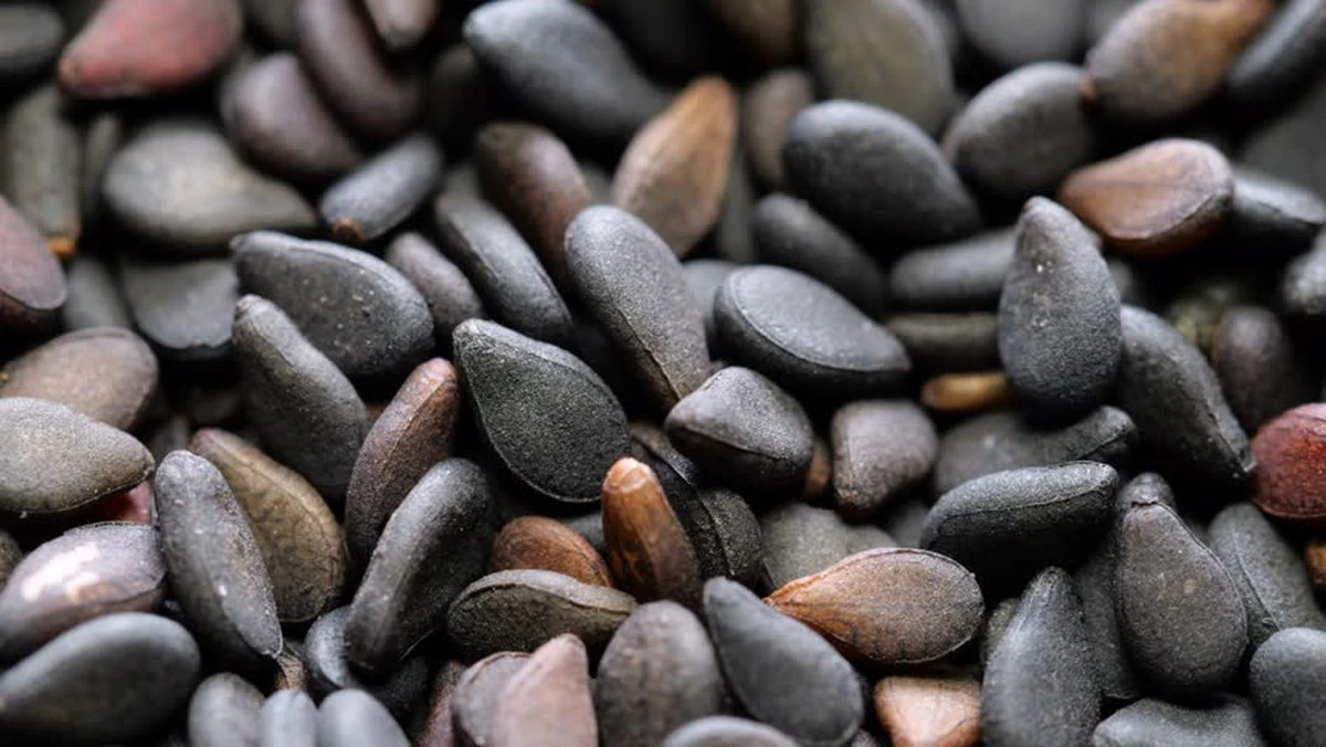 Proč zkušení kuchaři vyměňují klasický sezam za černá semínka - image 1