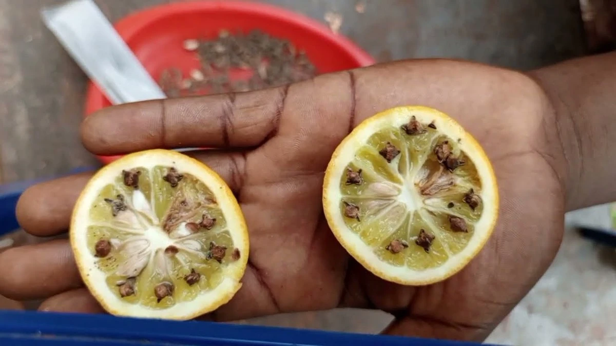 Proč letos zkušení lidé dávají na okenní parapet polovinu citronu - image 1