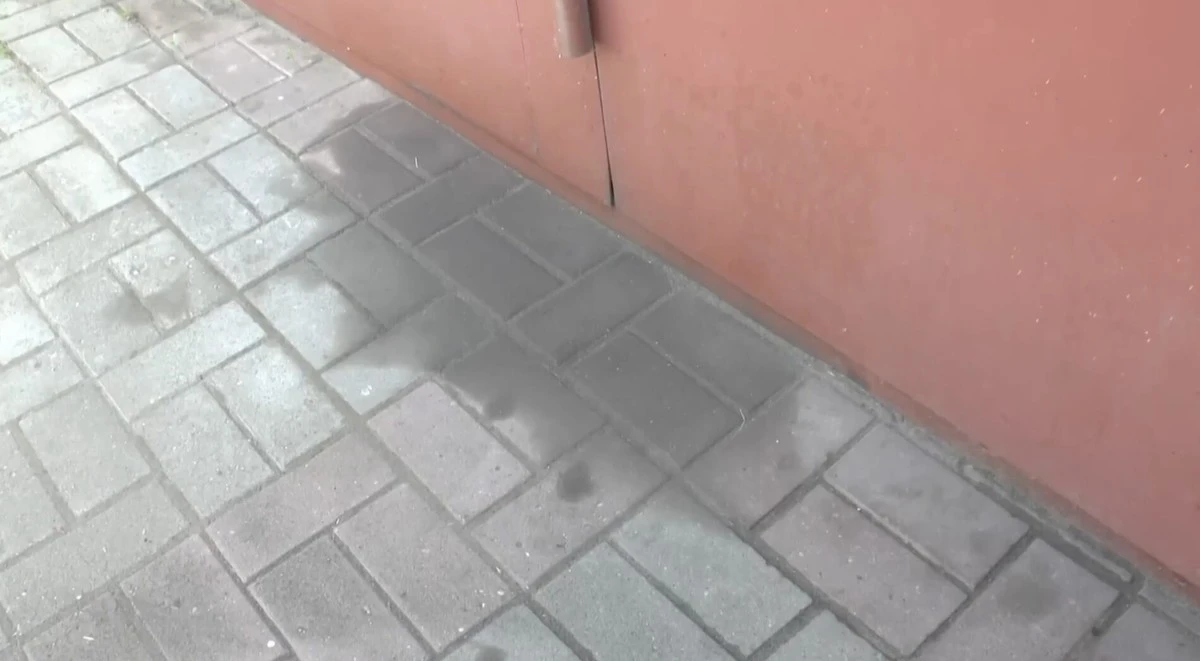 Proč zkušení automechanici sypou na mastné skvrny na zámkové dlažbě kočkolit