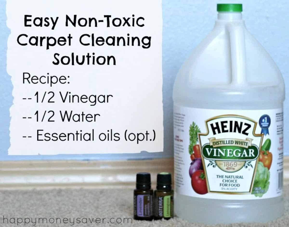 Proč zkušení majitelé bytů sypou čtvrt hrnku sody na starý koberec - image 1