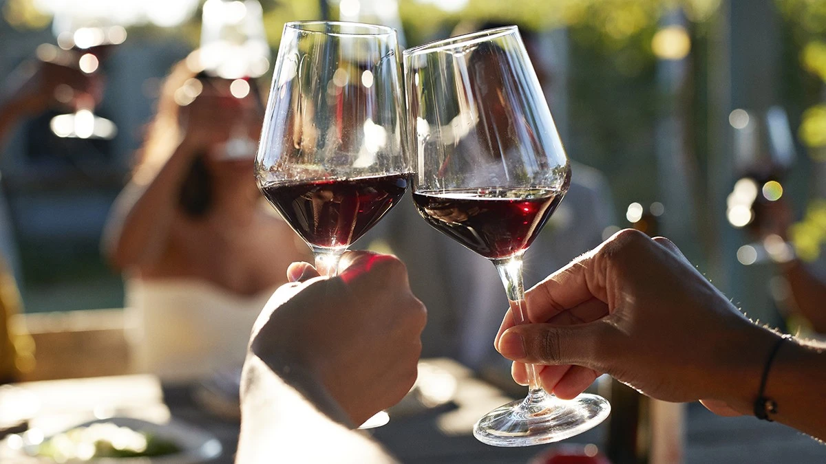 Proč se po dvou skleničkách cítíte jinak: Alkohol v mozku vypíná „dálkové hovory“