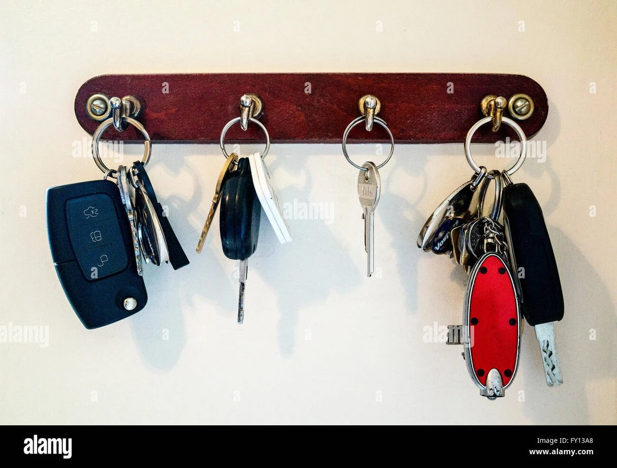 Proč zkušení řidiči lepí malý magnet vedle vchodových dveří - image 1