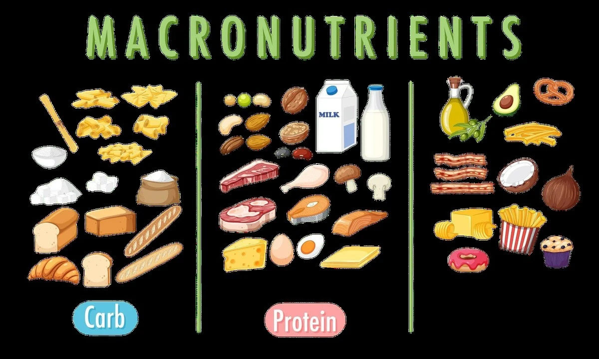 Proč vědci z Harvardu přestali věřit dietám bez tuku a sacharidů - image 1