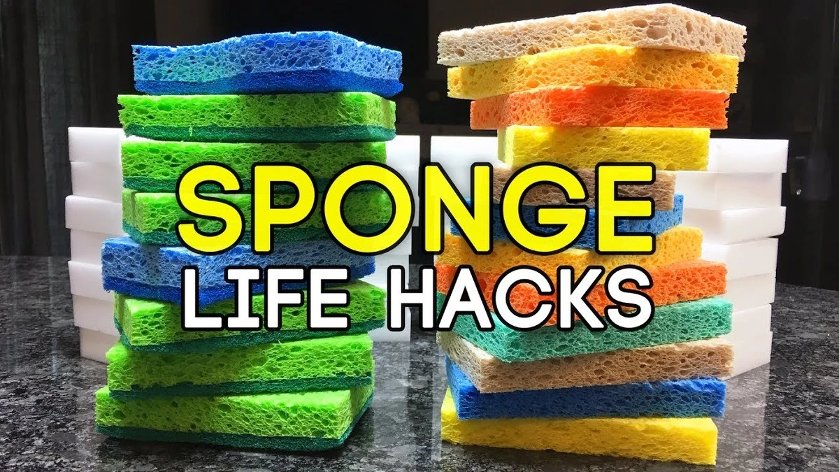 Proč zkušení čeští kutilové dávají houbičku na nádobí na dno květináče - image 1