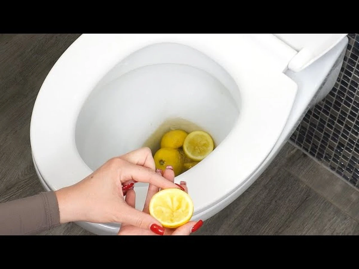 Proč zkušení hostitelé potírají záchodové prkýnko rozkrojeným citronem - image 1