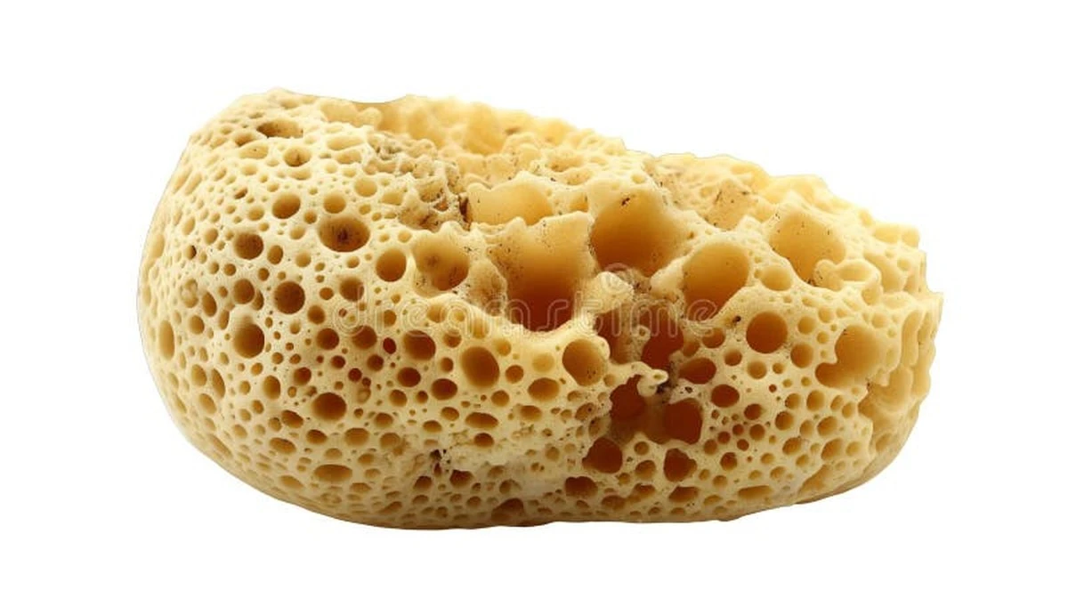 Proč zkušení kuchaři nikdy nedávají mokré hrnce do skříňky - image 1