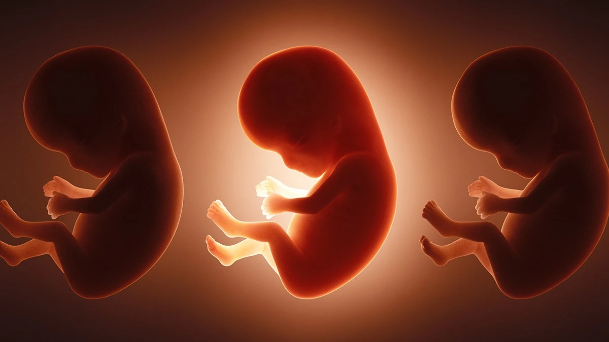 Proč mají novorozenci v krvi desítky „věčných chemikálií“ už při narození