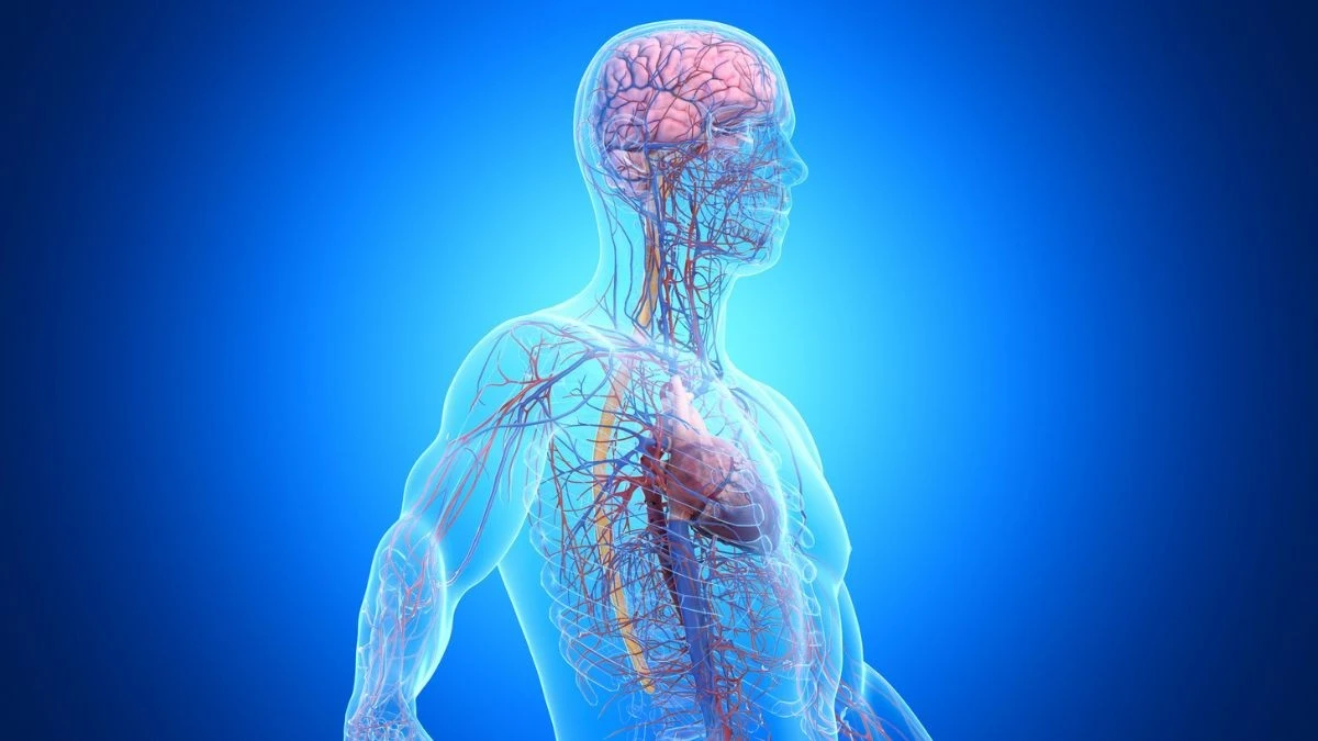 Třetina případů demence začíná mimo mozek: 5 skrytých viníků