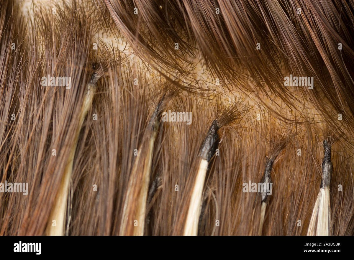 procsevyplatizk-extra-1.webp Proč se vyplatí zkontrolovat složení dřív, než si necháte prodloužit vlasy - image 1