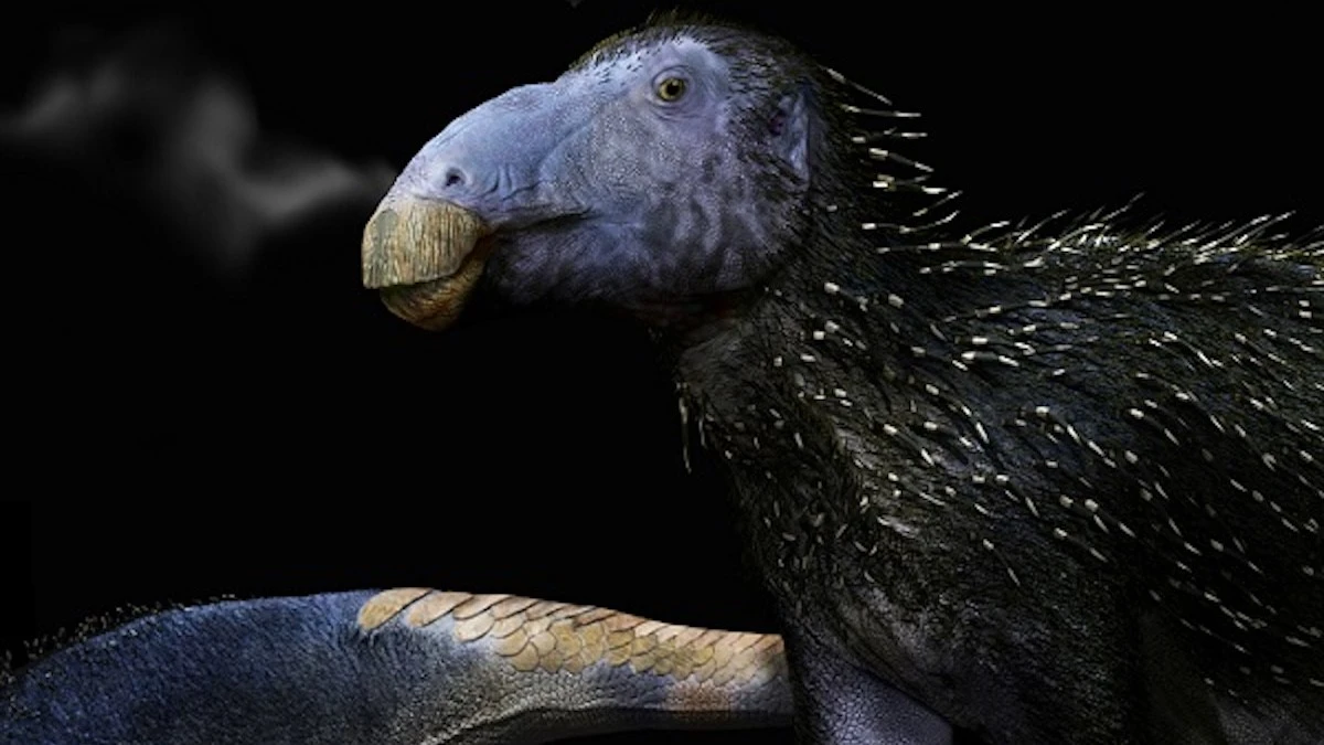 Proč měl malý čínský dinosaurus kůži jako dikobraz