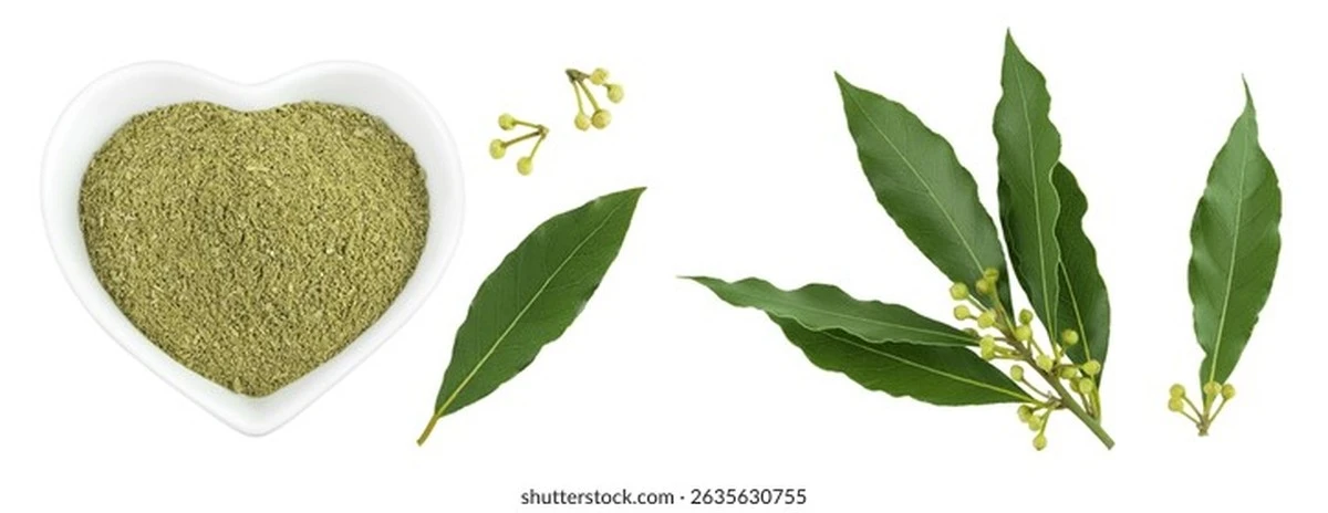 Proč zkušení hostitelé dávají bobkový list do rohů každé místnosti - image 1