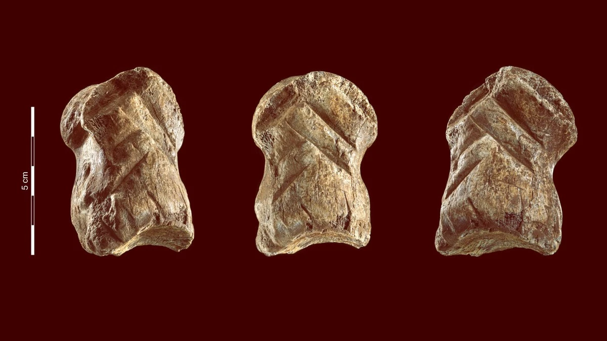 Proč zkušení archeologové zkoumají 40 000 let staré zářezy v kostech - image 1