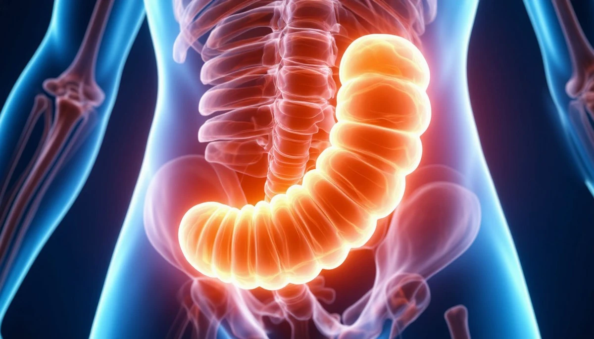 Proč se v lidském těle stále objevuje slepé střevo