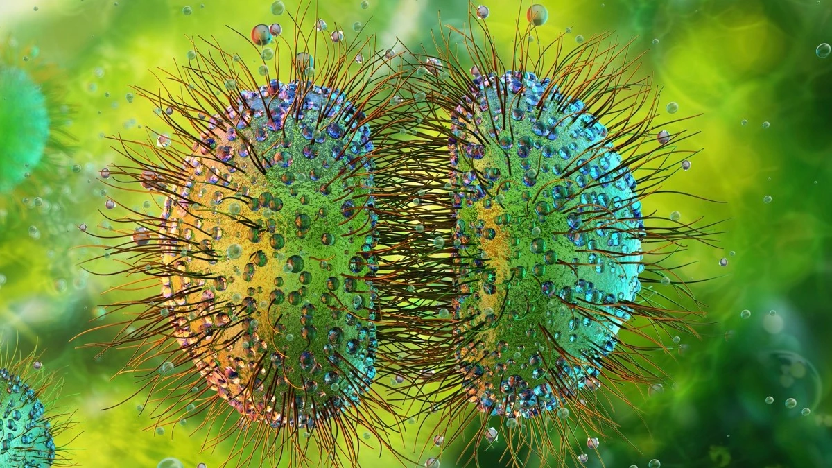 Proč zkušení lékaři varují před půjčováním vapů a sklenic v klubech