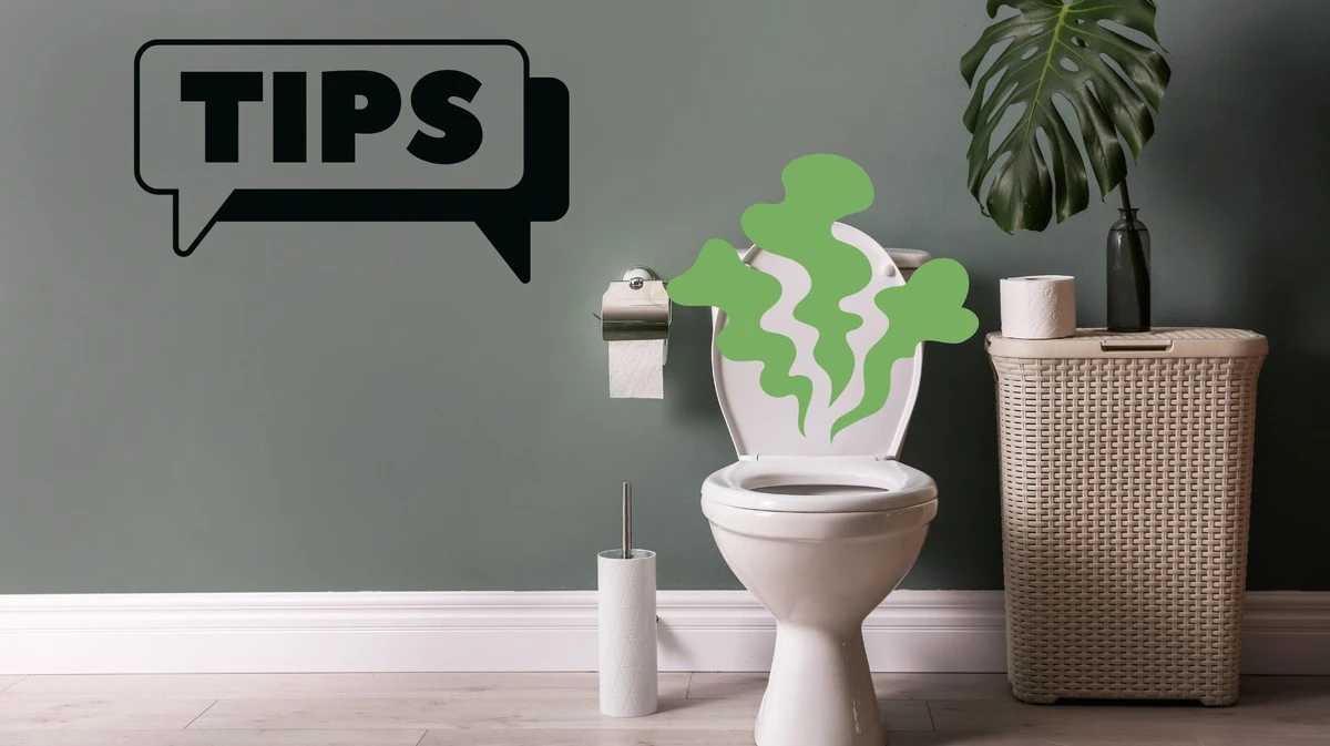 Proč zkušení instalatéři vždy lijí pár kapek jaru do držáku na WC štětku