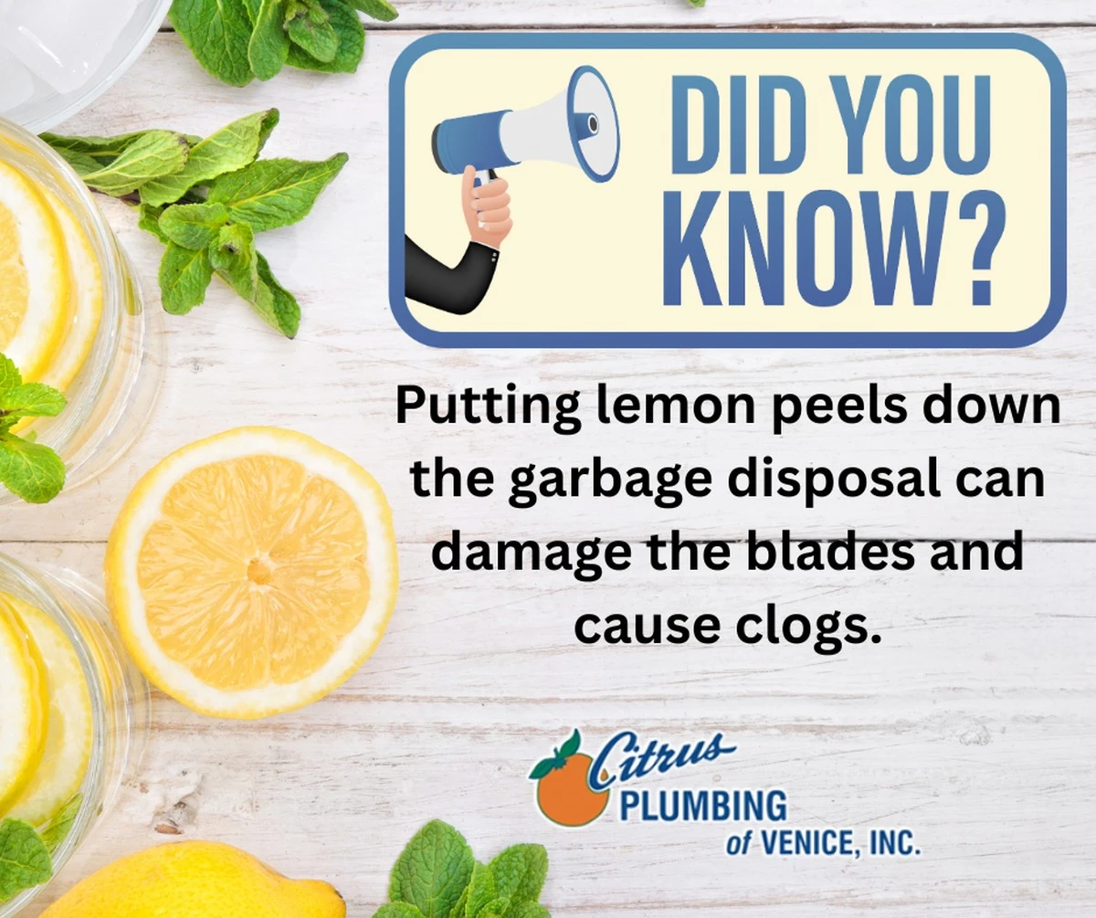 Proč zkušení kutilové vkládají citronovou kůru do odpadkového koše dříve, než ho zavřou - image 1