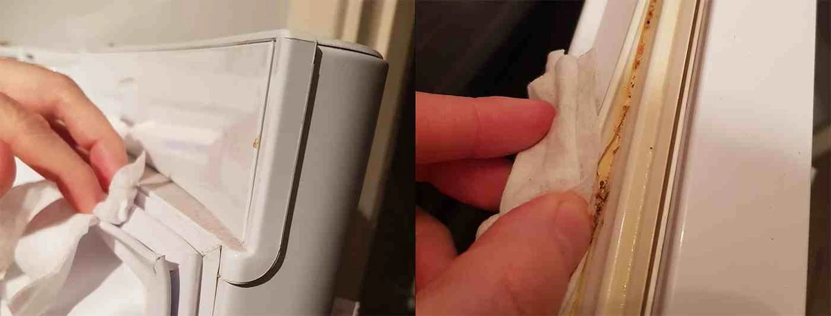 Proč vaše lednice stále zapáchá: Skrytý viník bývá v těsnění dveří - image 1