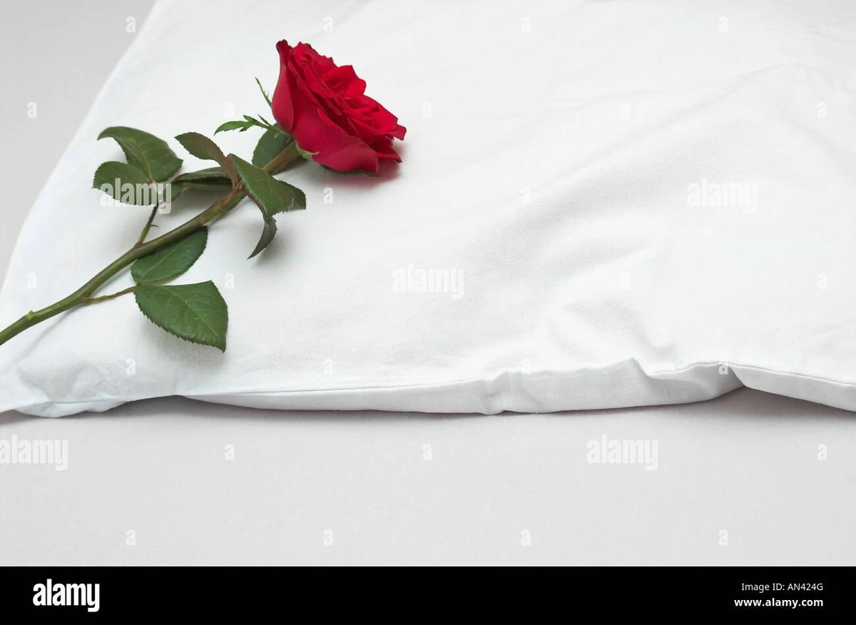 Proč zkušení lidé dávají červenou růži pod polštář přesně na tři noci - image 1