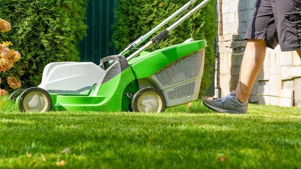 Proč zkušení zahrádkáři čekají se sekáním trávy na 7 stupňů - image 1