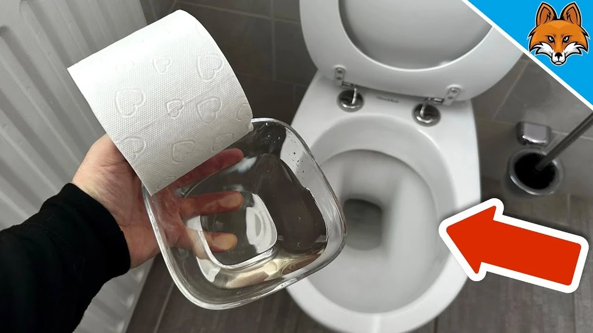 Proč zkušení hostitelé namáčejí toaletní papír do octa - image 1