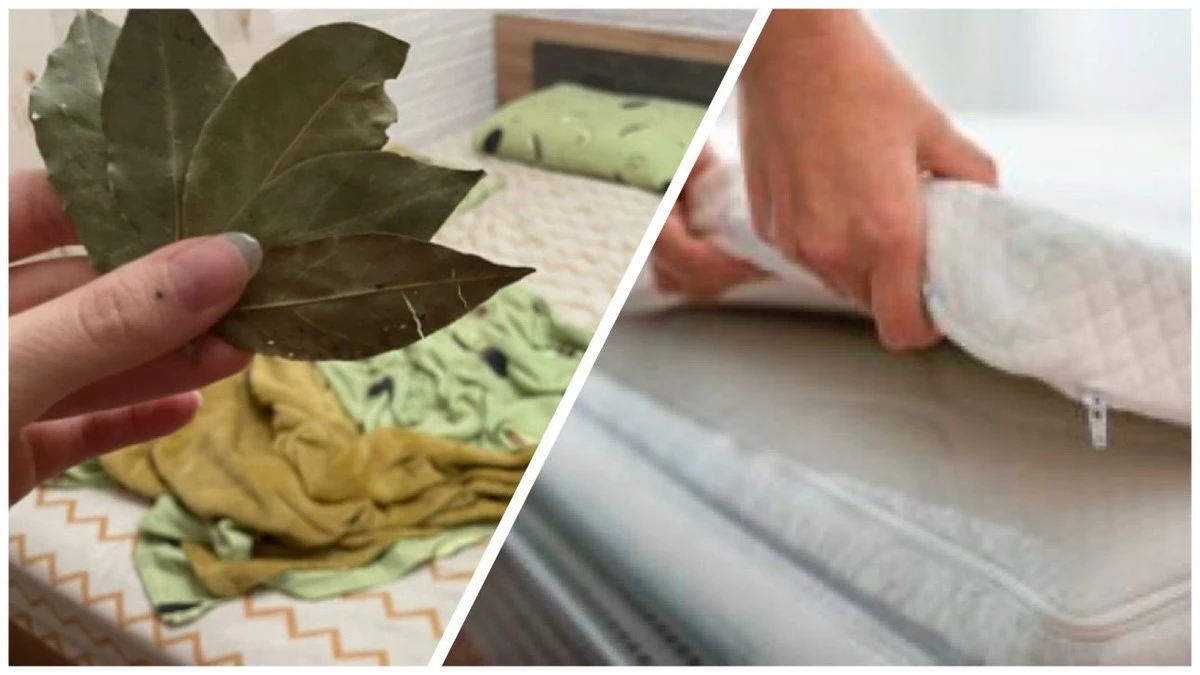 Proč zkušení lidé dávají 7 bobkových listů pod matraci každou sobotu