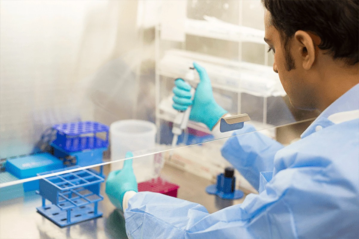 procseumrtnostn-extra-1.webp Proč se úmrtnost na rakovinu propadla na minimum, ale pět typů je na vzestupu - image 1