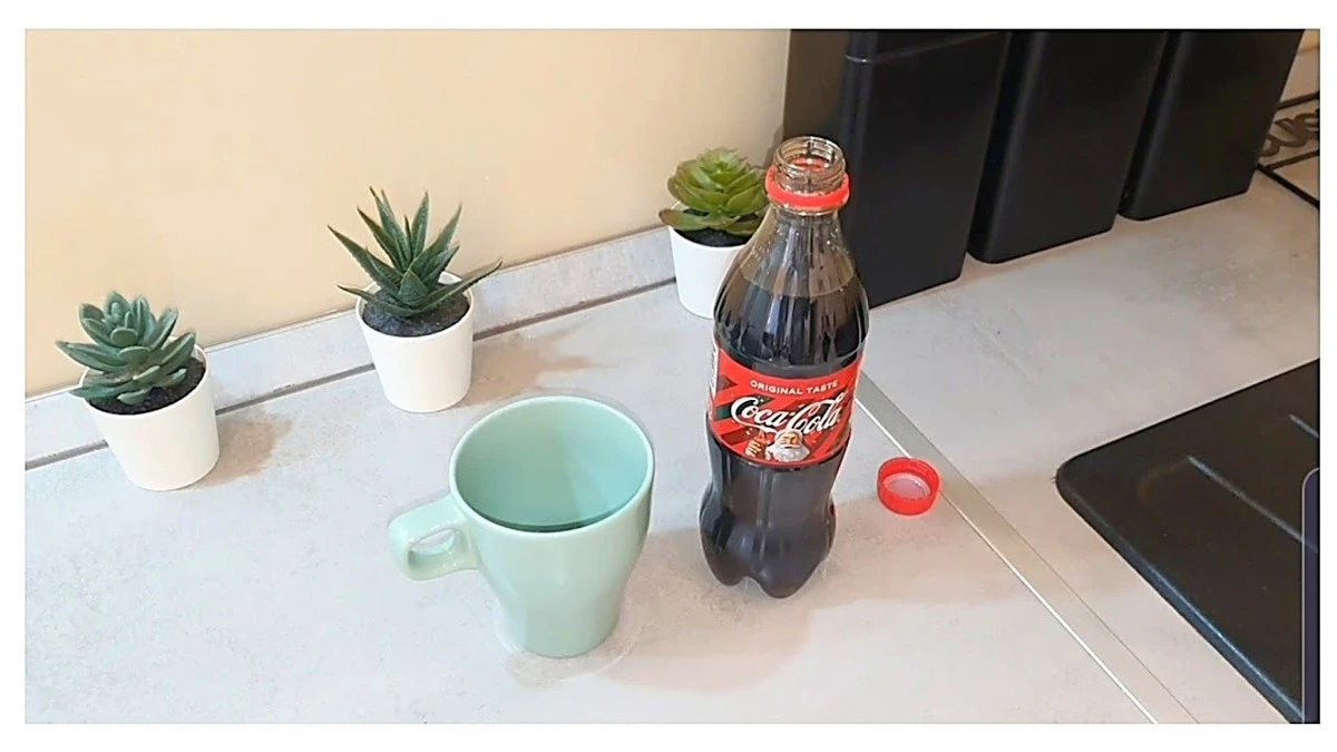 Proč letos zkušení čeští zahrádkáři lijí obyčejnou colu do spár v dlažbě - image 1