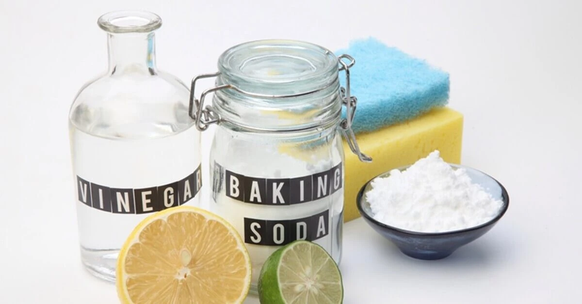 Proč zkušení lidé sypou na koberec kyselinu citronovou - image 1