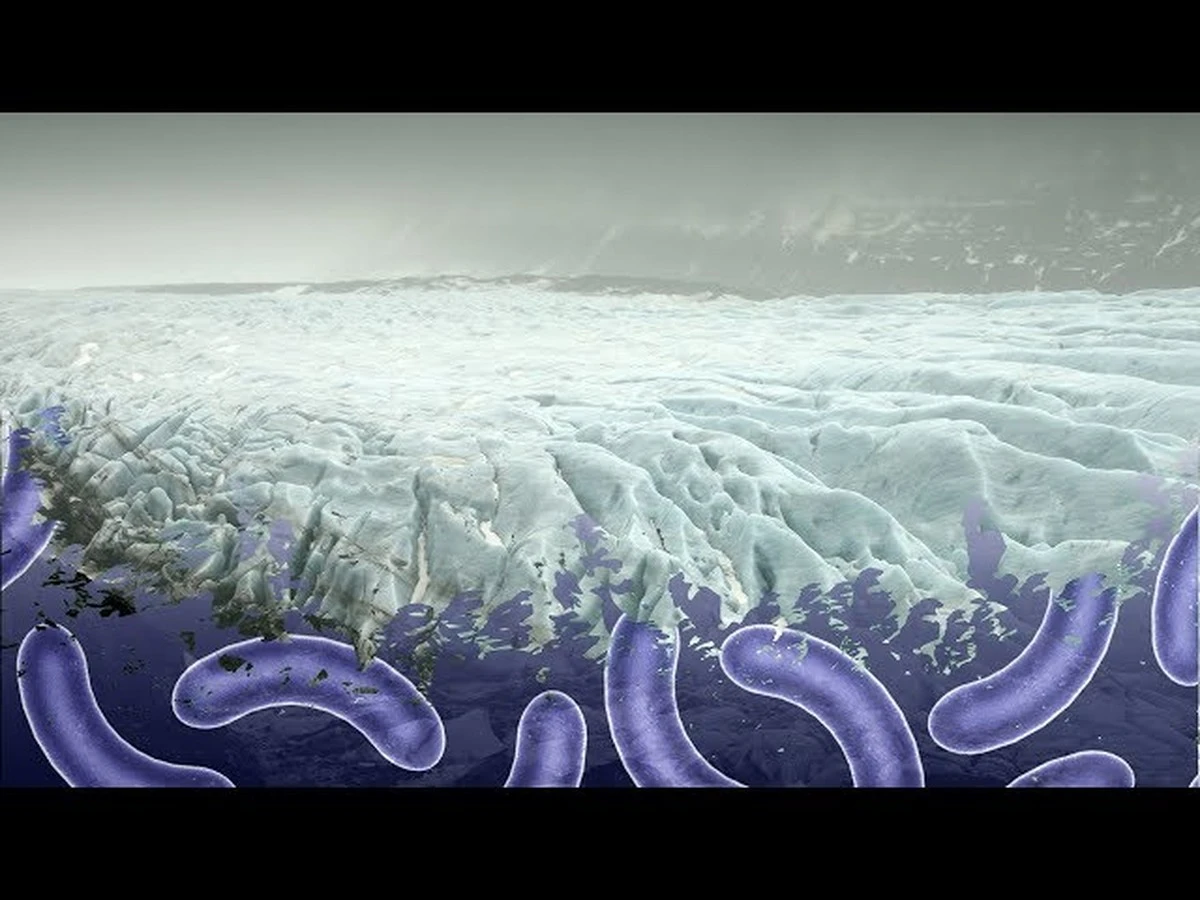 Proč vědci v rumunské jeskyni vzkřísili 5 000 let starou bakterii - image 1