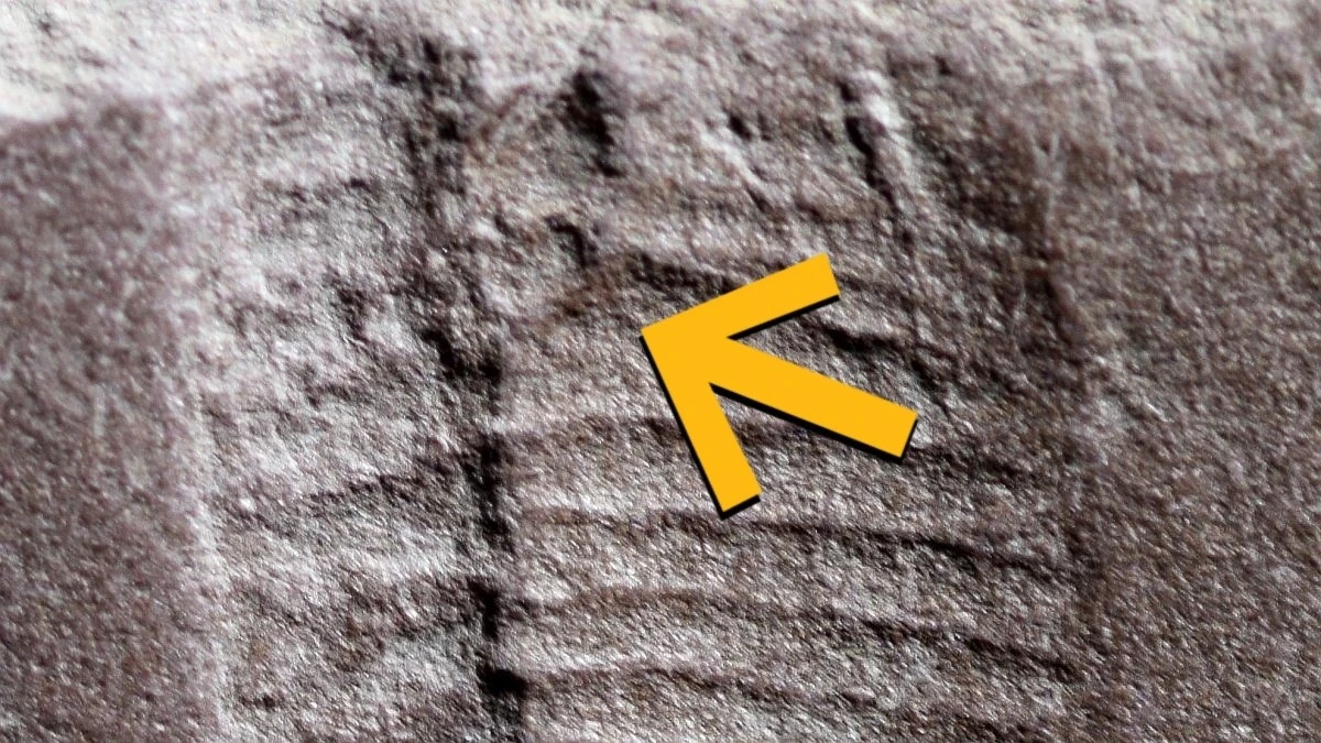 Proč diagnóza rakoviny u lidí spouští sklon ke kriminalitě a co s mozkem dělá jedna sklenka