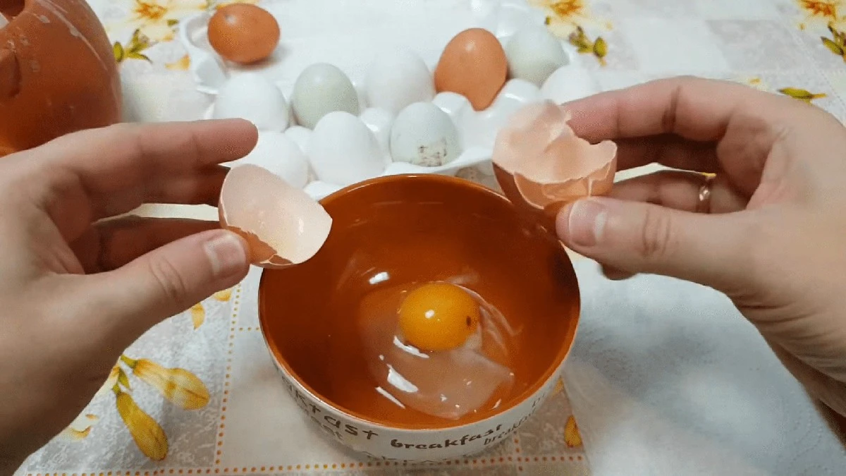 Proč zkušení kuchaři vyhledávají vajíčka s mléčným bílkem