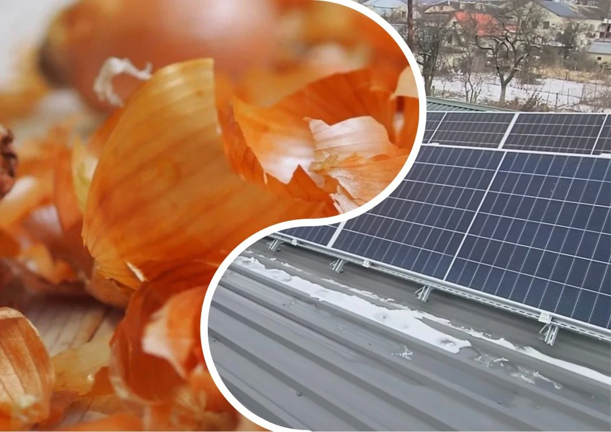 Proč zkušení majitelé solárních panelů nevyhazují cibulové slupky