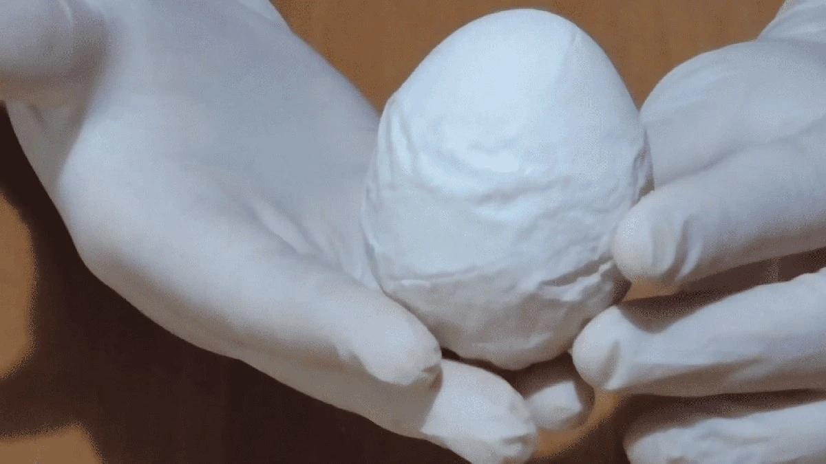 Proč slepice snášejí gumová vejce: 3 chyby, které dělají i zkušení chovatelé