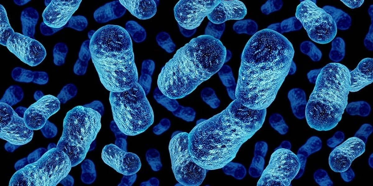 Proč se běžná bakterie v našem střevě někdy změní v rakovinu: Vědci našli neznámý virus - image 1