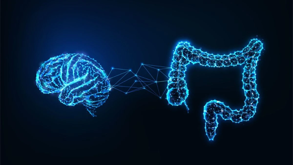 Proč zkušení lékaři začínají léčit paměť přes střeva