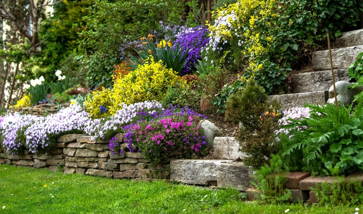 Proč zkušení zahrádkáři už nesází hortenzie do svahu