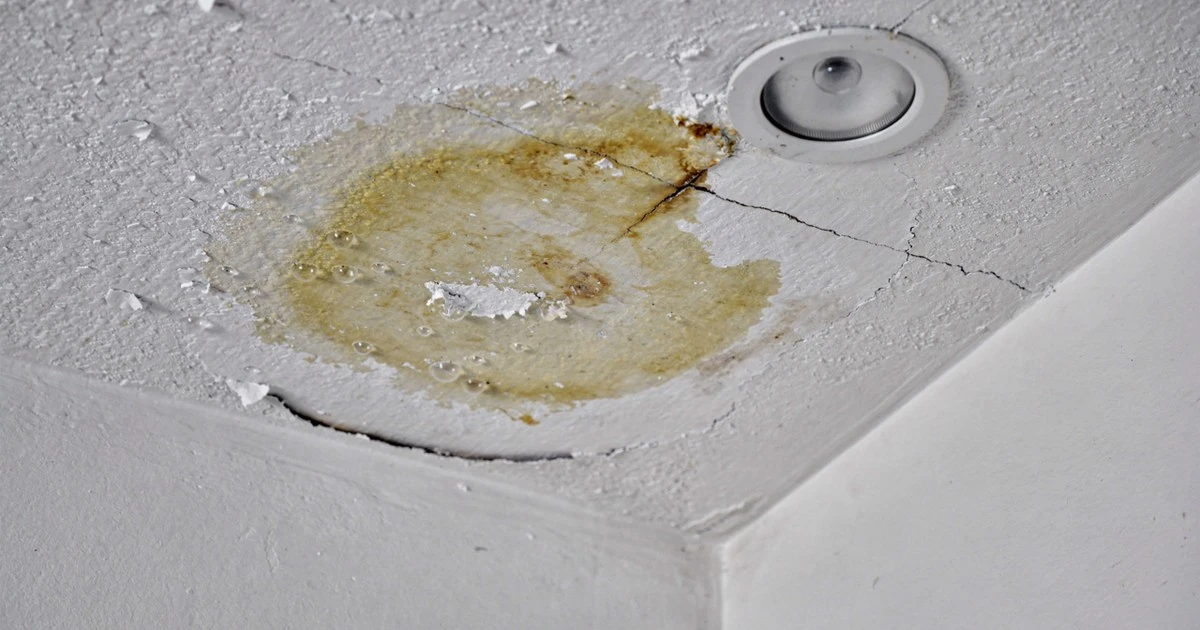 Proč se na stropě tvoří hnědé skvrny: 3 skrytá rizika pro váš byt