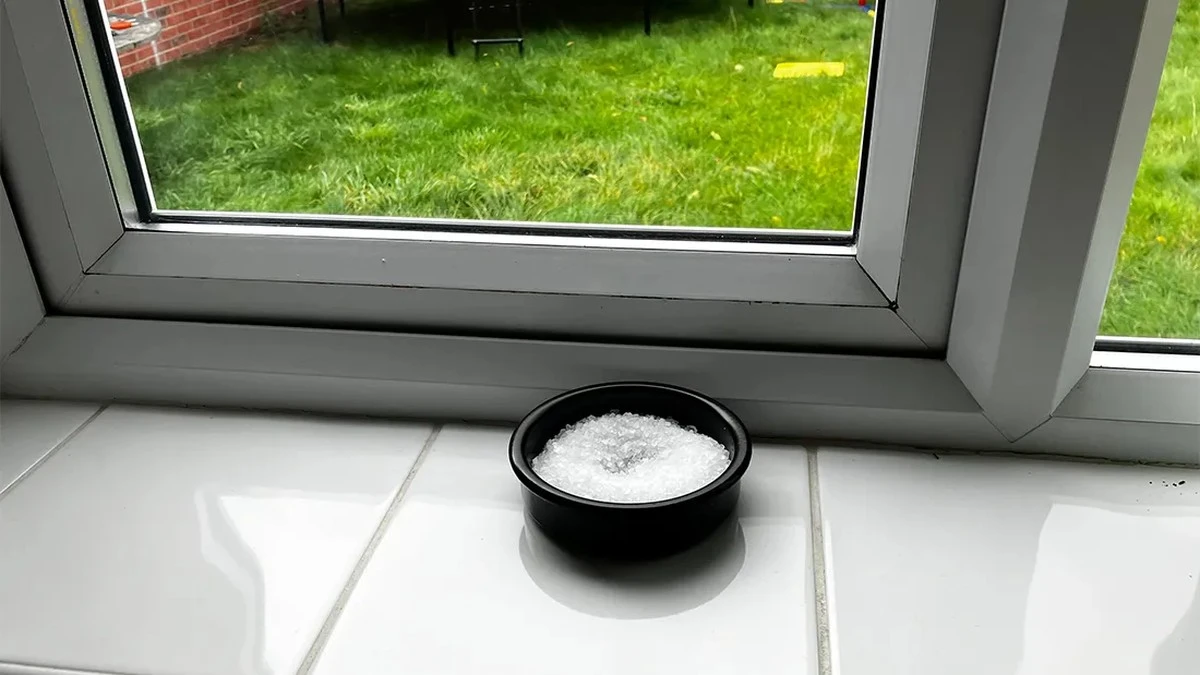 Proč zkušení lidé dávají misku se solí a dva bobkové listy na okenní parapet - image 1