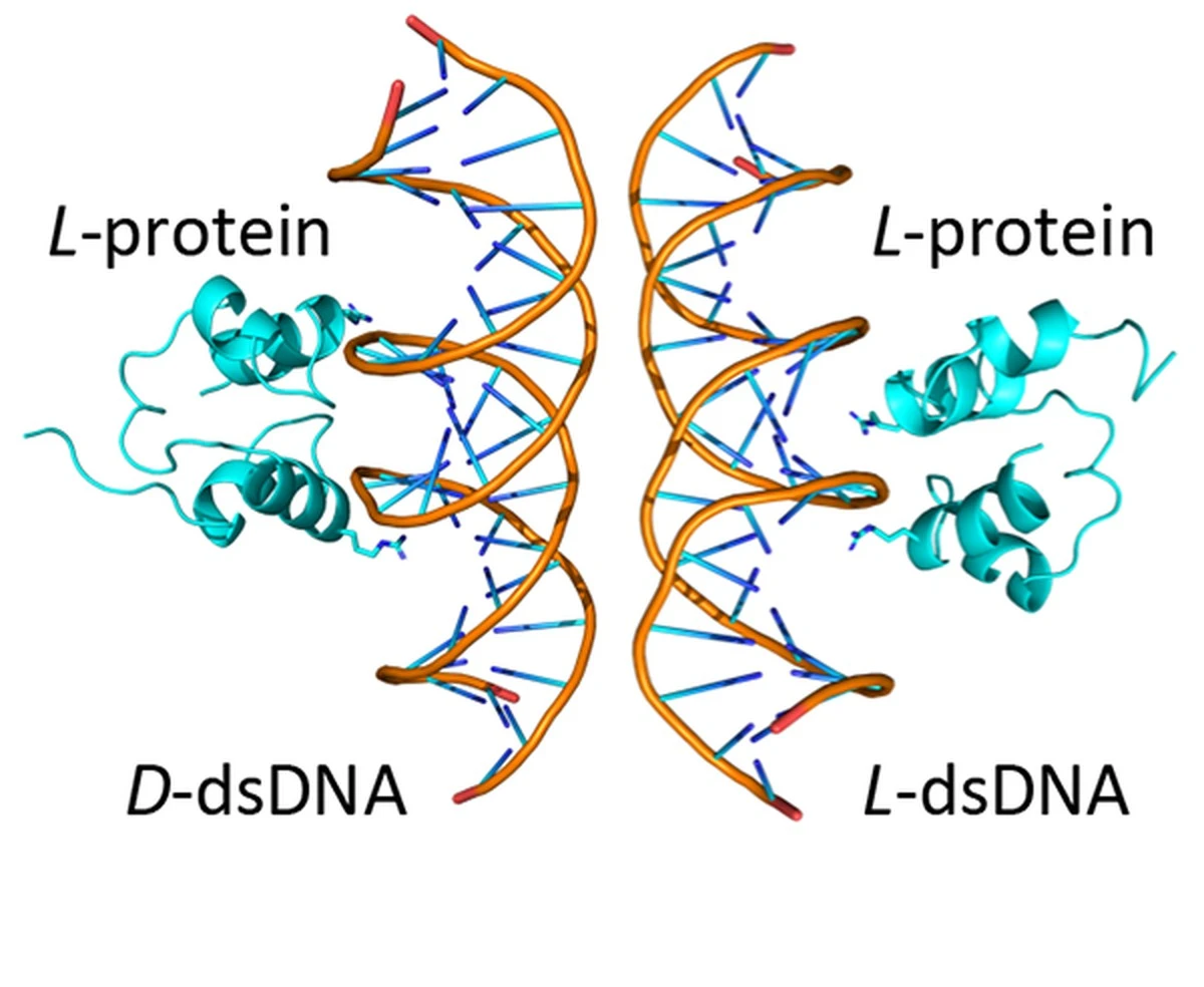 Naše DNA skrývá tajemství starší než život: 5 faktů o LUCA - image 1