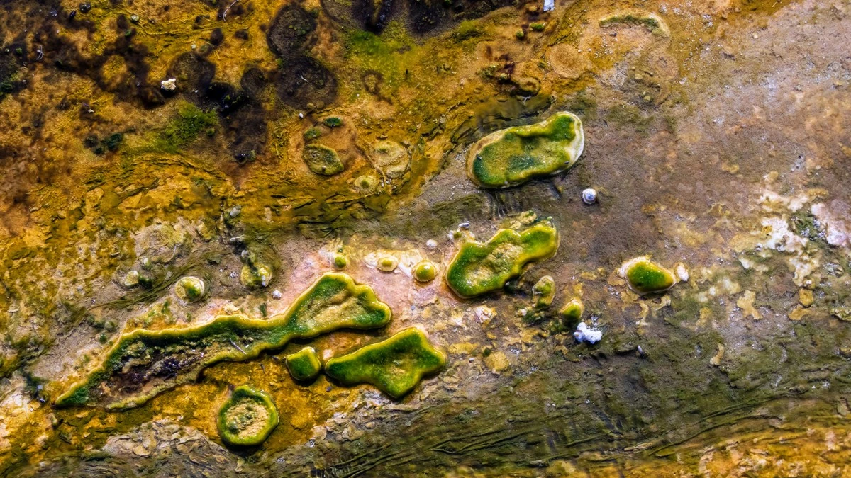 Proč se první život na Zemi nejspíš zrodil v lepkavém slizu na skalách - image 1