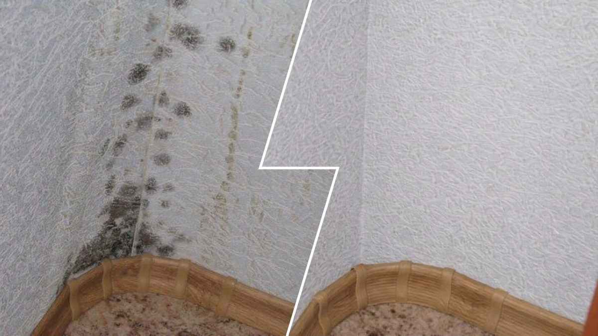 Proč zkušení čeští chalupáři sypou jedlou sodu do horkého octa