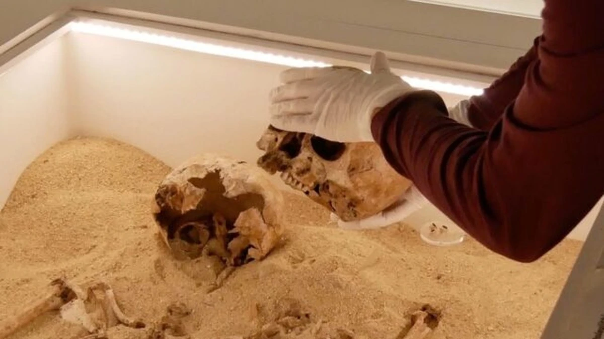 Proč se dvě ženy z doby ledové objímaly 12 000 let: Genetici rozluštili tajemství v jejich uších - image 1