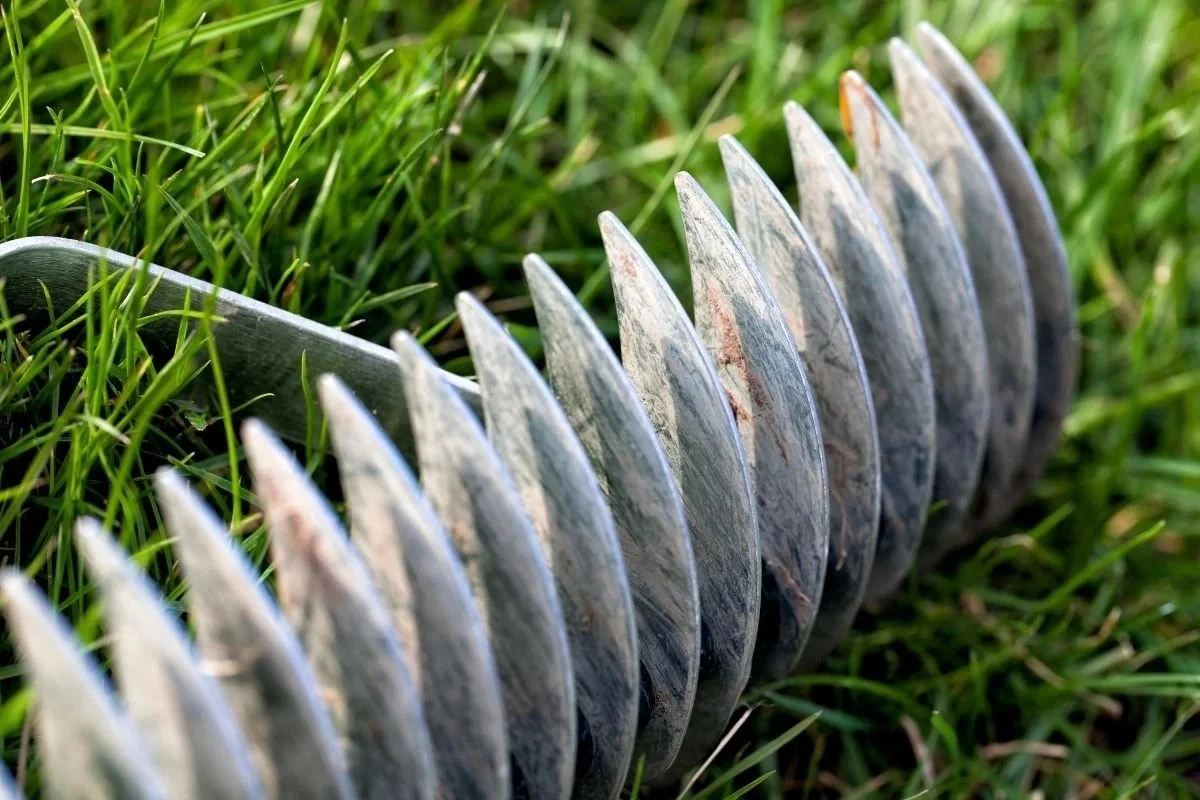 proczkusenizahr-extra-1.webp Proč zkušení zahrádkáři vytahují vertikutátor až po druhém sečení trávy - image 1