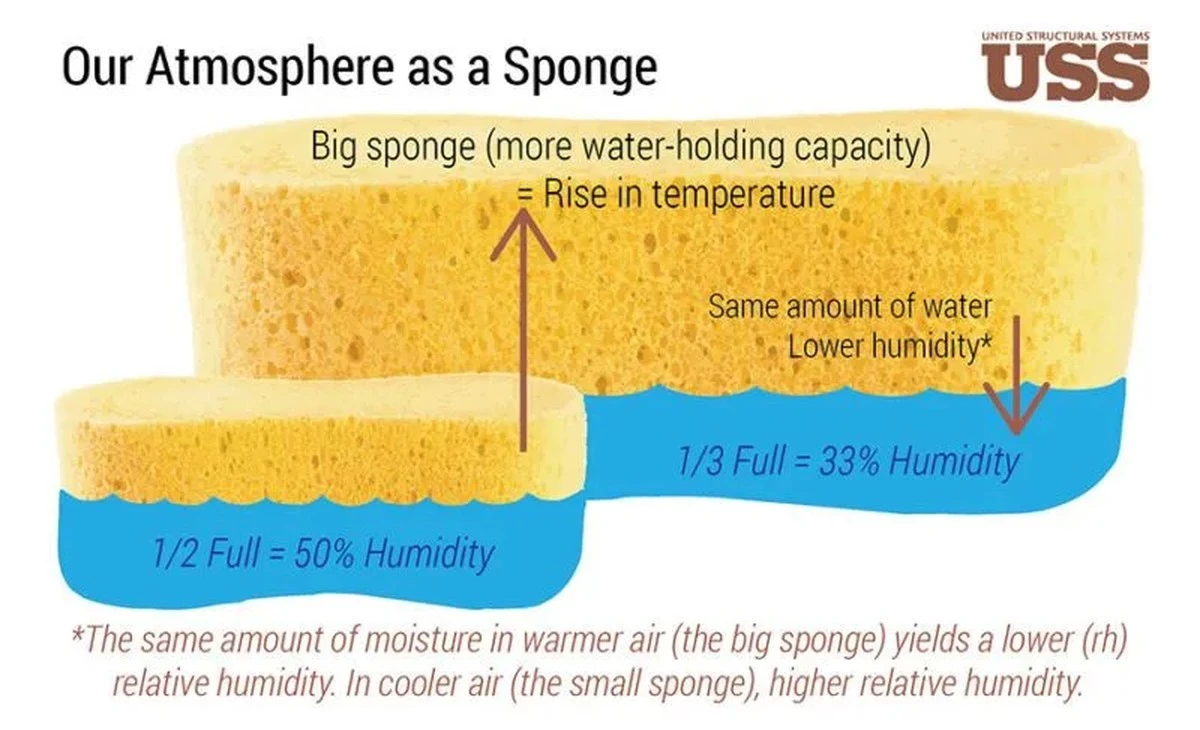 Proč stačí 1 obyčejná houbička: Triky pro vlhčí vzduch v bytě - image 1