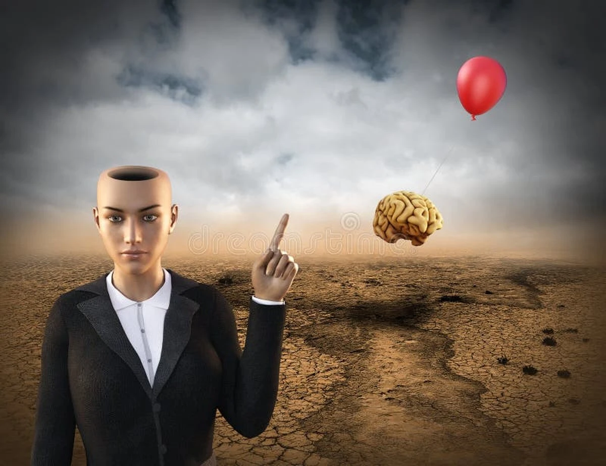 Proč mozek po psychedelikách vidí vzpomínky místo reality - image 1