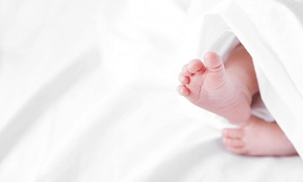 Proč čeští rodiče stále častěji dávají dětem tato krátká jména - image 1