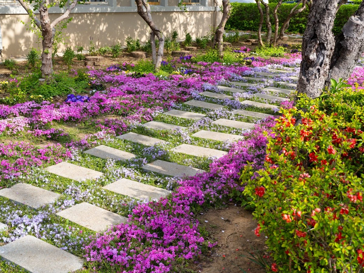 Proč se v zahradnictví vyplatí brát ty nejmenší rostliny bez květů - image 1